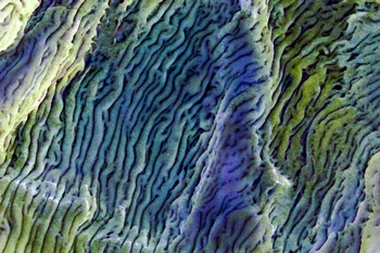 A 79A
